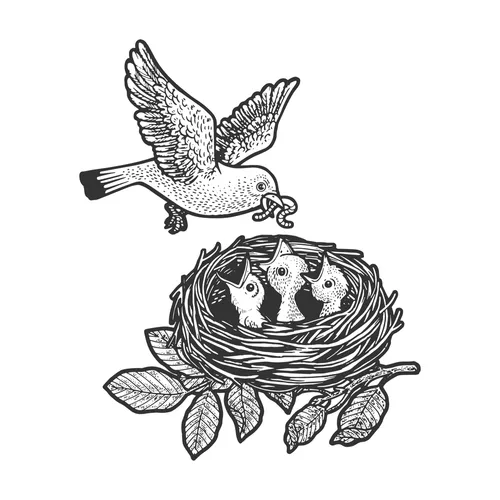 Birds April Blog