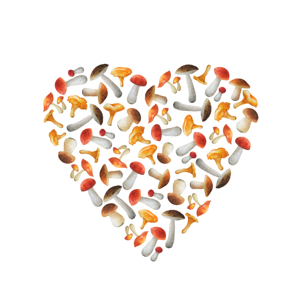 Illustration of a heart made of mushrooms