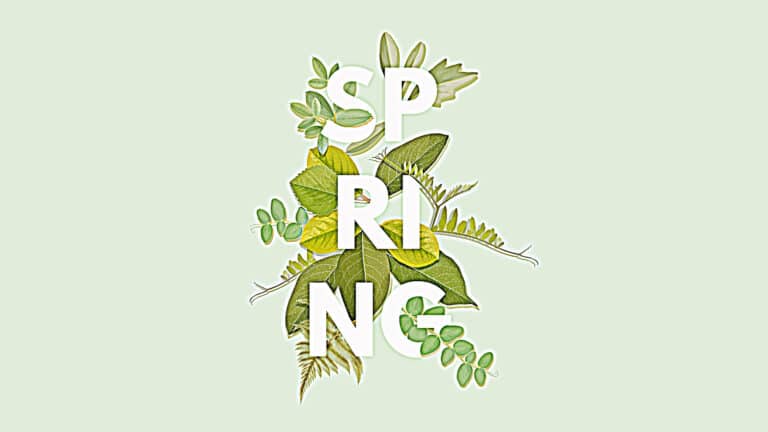 Illustration of green leaves around the letters "Spring"