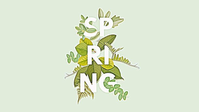 Illustration of green leaves around the letters "Spring"